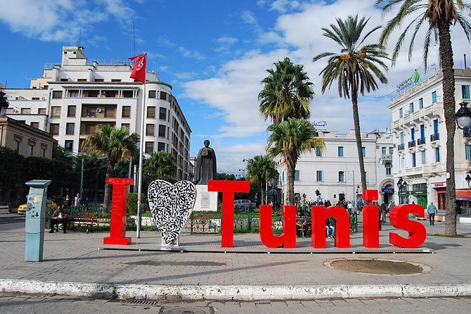 Private Half Day Tunis City Tour - The Sum Up