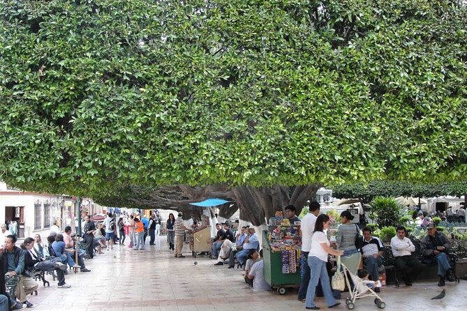 Private History & City Walking Tour of Guanajuato - Common Questions