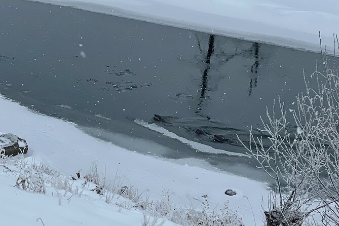 Private Jeep Tour of Yellowstone's Winter Wonderland - The Sum Up