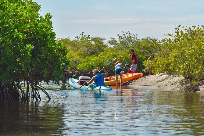 Private Kayaking Adventure Around the Mangroves and La Paz Bay - Private Tour Details
