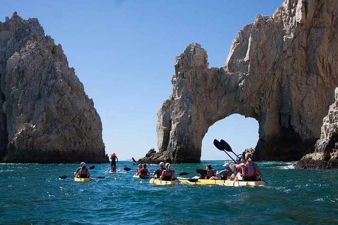 Private Los Cabos Arch & Playa Del Amor Tour by Glass Bottom Kayak - Participant Requirements