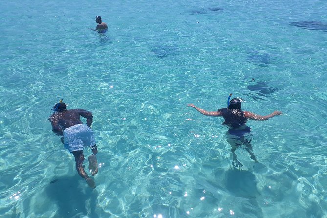 Private Moorea Day Tour - Inclusions and Meeting Details