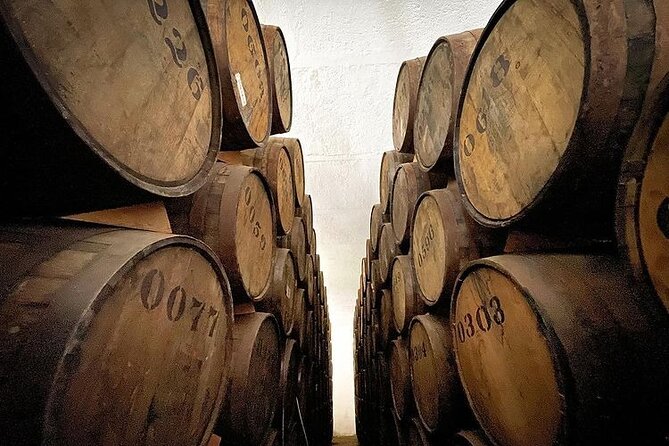 Private One Day Adventure Tour in Tequila and La Fortaleza Distillery - Creating Unforgettable Memories in Tequila