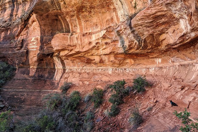 Private Sedona Scenic Full-Day in Luxury Car Tour - Common Questions