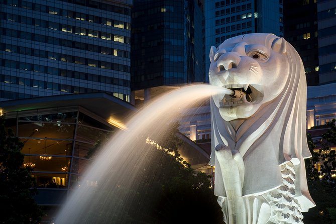 Private Singapore Photography Tour With a Professional Photographer - Tips for Getting the Best Shots
