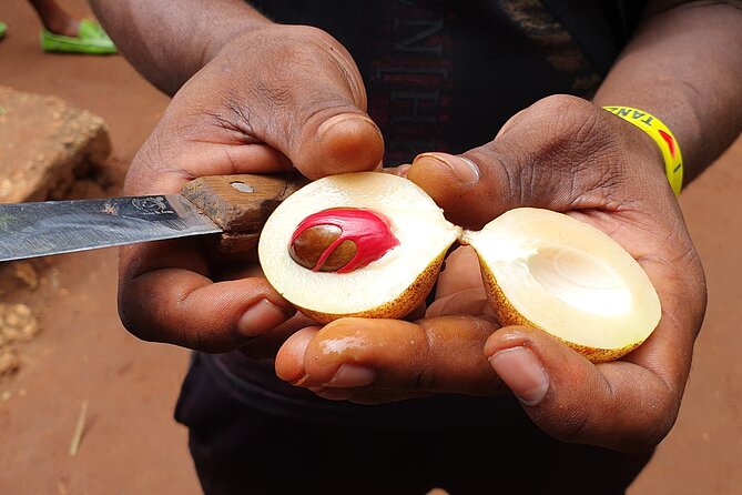 Private Spice Tour in Zanzibar With Pick up - Common Questions