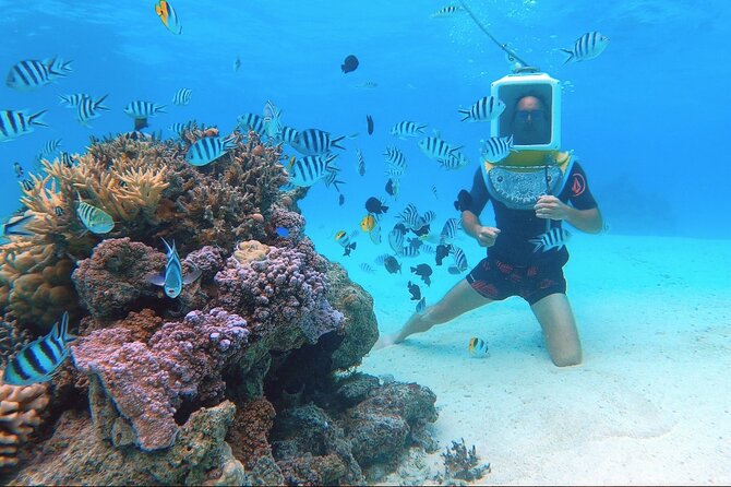 Private Tour: Aqua Safari Scuba Diving - Cancellation Policy Details