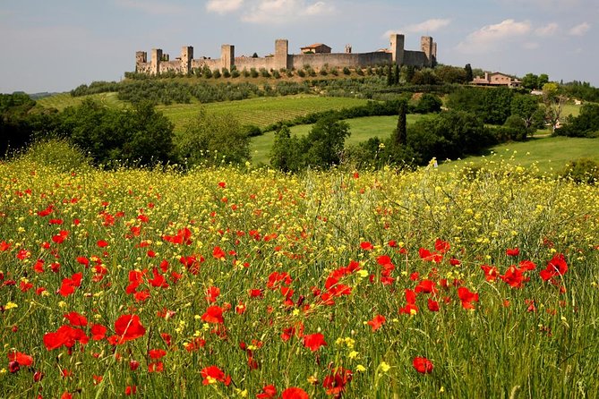 Private Tour: Guided Hike in Tuscany With Transport From Siena - How to Book and Prepare for the Tour