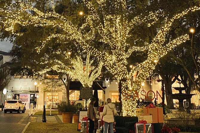 Private Tour to Christmas Winter Village, Bayshore and Hyde Park - Common Questions