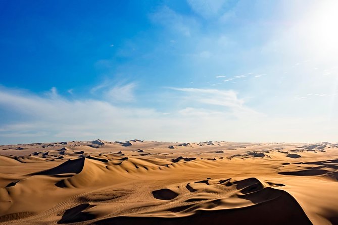 Private Tour to Huacachina From Paracas - Wine and Pisco Tasting