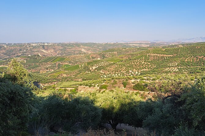 Private Tour - Wine Olive Oil Tasting and Pottery - The Sum Up