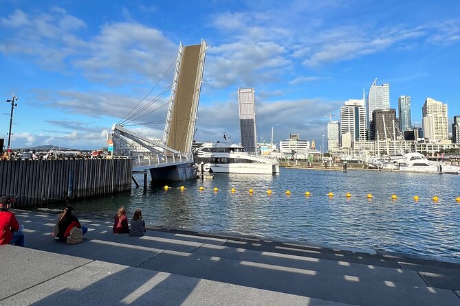 Private Transfer From Auckland Domestic Airport To Auckland City - The Sum Up