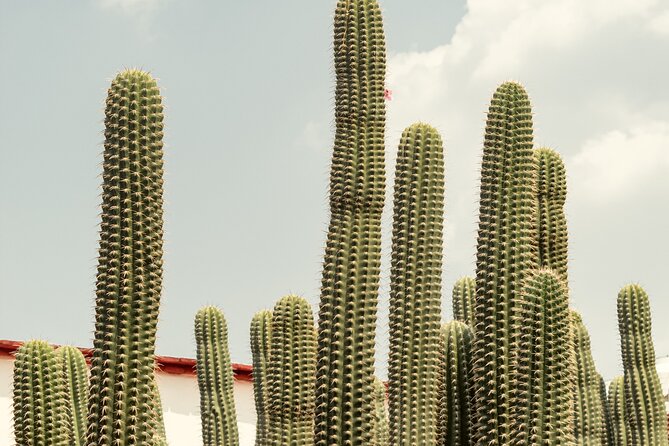 Private Transfer From San Miguel De Allende to Mexico City - Common Questions