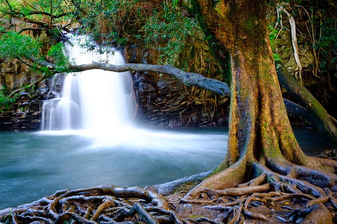 Private Upcountry Maui VIP Sunset Tour - Full Day - Reviews