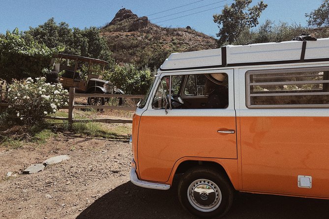 Private Vintage VW Hippie Tour to Malibu With Wine Tasting - The Sum Up