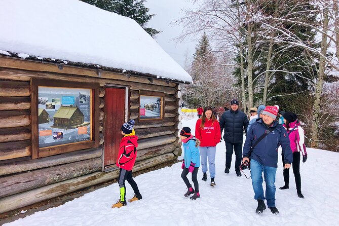 Private Whistler Sightseeing Tour: Discover All of Whistler in Comfort! - The Sum Up