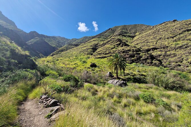 Private Wild Picnic in the North West of Gran Canaria - Common Questions