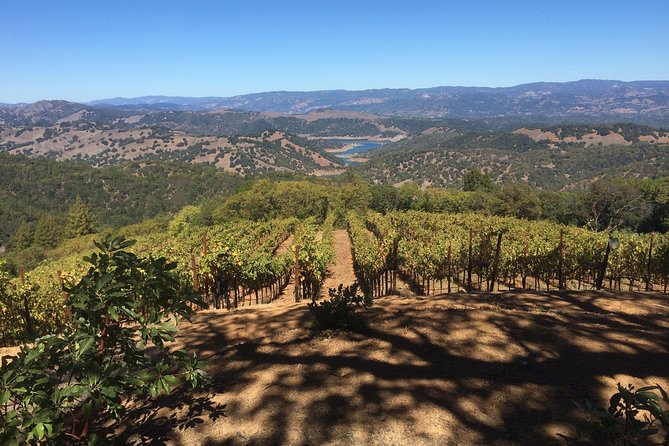 Private Wine Country Tour of Napa and Sonoma by Suv.  - Napa & Sonoma - Pricing and Terms