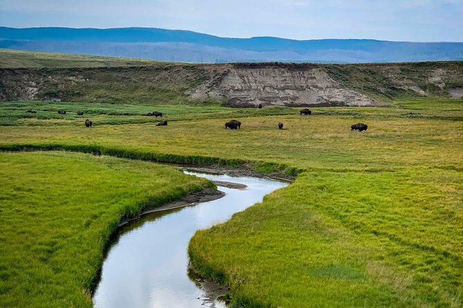 Private Yellowstone Highlights Tour - Tour Itinerary