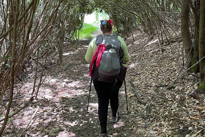 Privately Guided Full Day Hike - Common Questions