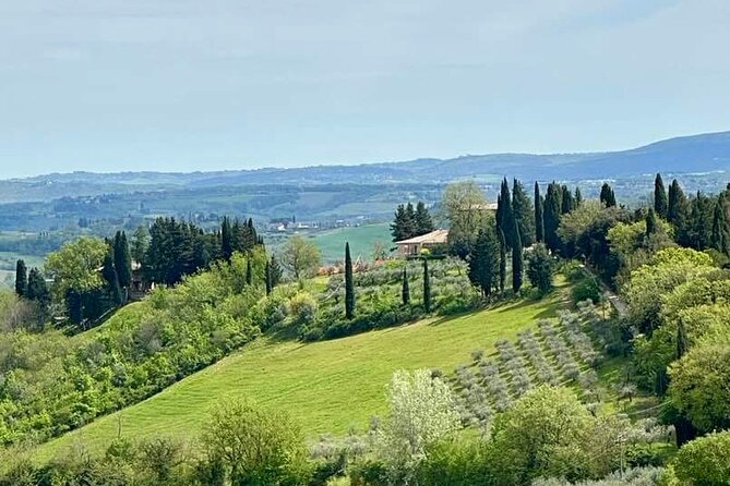Prosecco Wine Tour. Full Day From Venice - Tasting Experience