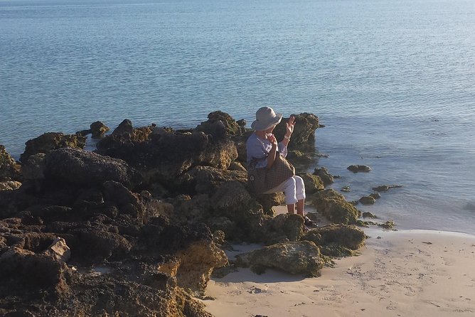 Providenciales Private Half-Day Tour - Reviews and Ratings
