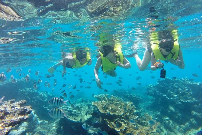 Puerto Plata Shore Excursion, Snorkeling Tour & Sosua Beach Day - Relaxation and Swimming at Sosua Beach