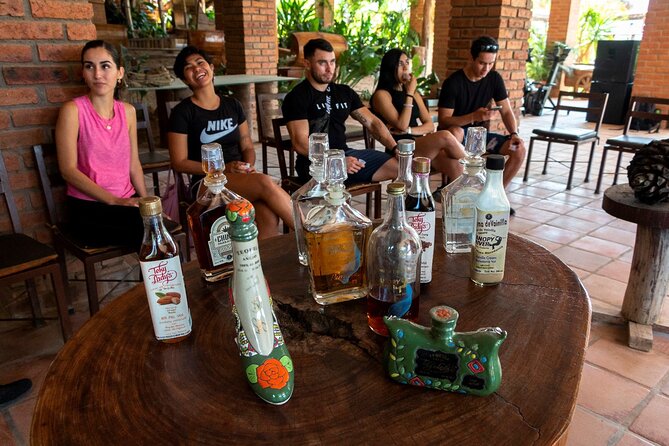 Puerto Vallarta Zipline, Mule Ride and Jorullo Bridge Walking - Start Time and End Point