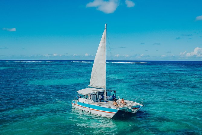 Punta Cana Private Cruise up to 10 Snorkeling & Seafood Lunch - The Sum Up