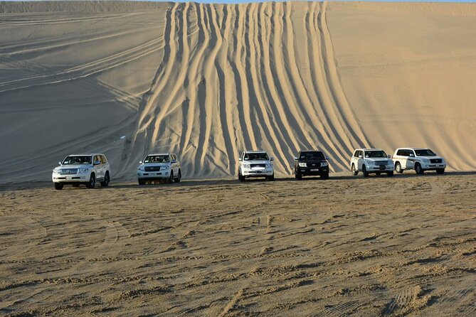 Qatar Desert Safari, Dune Bashing (Private Safari Tour) - Pricing