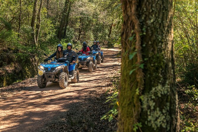 Quad Excursion in the Maremma With Barbecue in the Woods - Reviews and Ratings