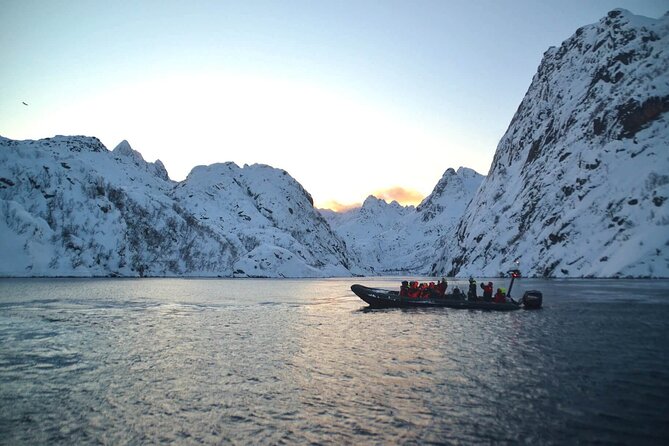 RIB Sea Eagle Safari Trollfjord Cruise - Secure Your Spot and Free Cancellation