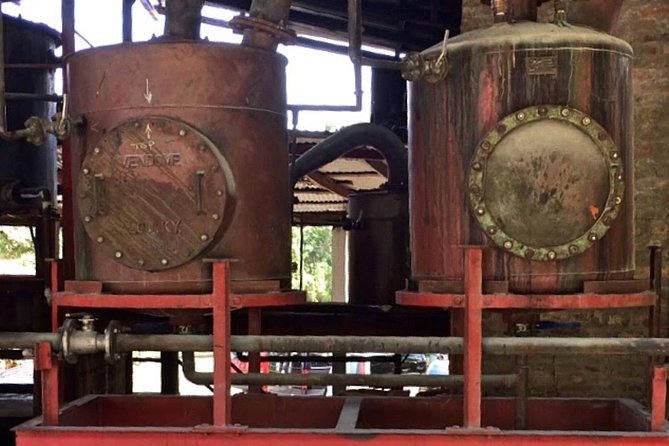 Rum Tour: Exploring the Historic River Antoine Rum Distillery - Variety of Rums and Liquors