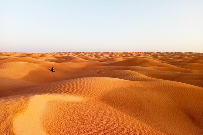 Sahara Desert Safari With Overnight Camping From Hammamet - Booking and Pricing Information