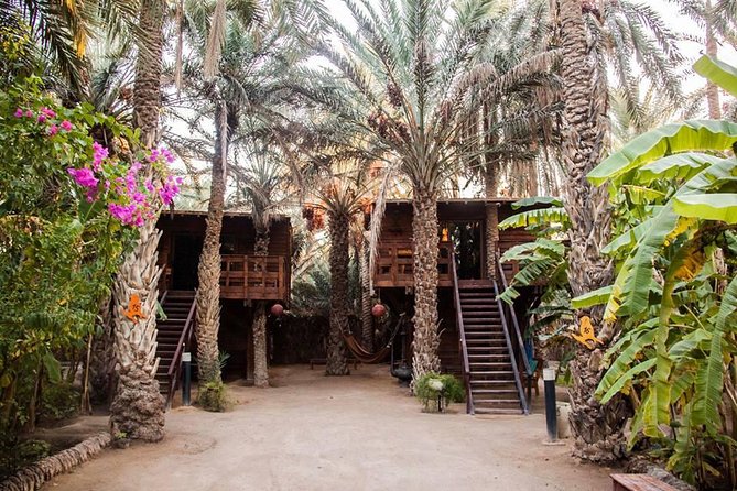Sahara Prestige Tour From Hammamet or Sousse - The Sum Up