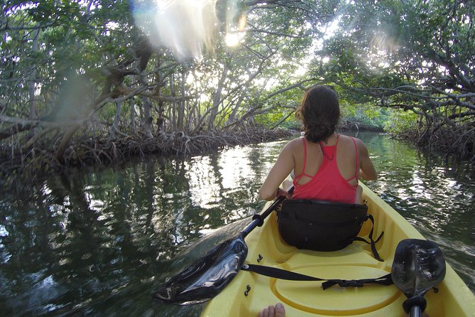 Sail, Snorkel, Kayak, Dolphins, and Lunch With Honest Eco - Common Questions