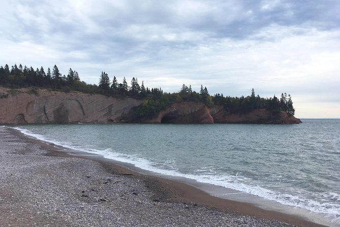 Saint John Cruise Ship Shore Tour to Bay of Fundy - Common Questions