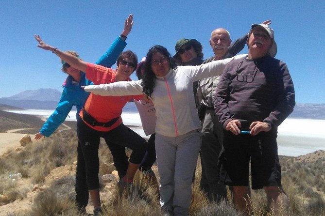 Salinas Salt Lagoon Private Tour - Day Trip From Arequipa - Wildlife Encounters