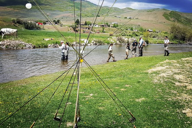 Salt Lake City Private Guided Fly Fishing Tour  - Park City - The Sum Up