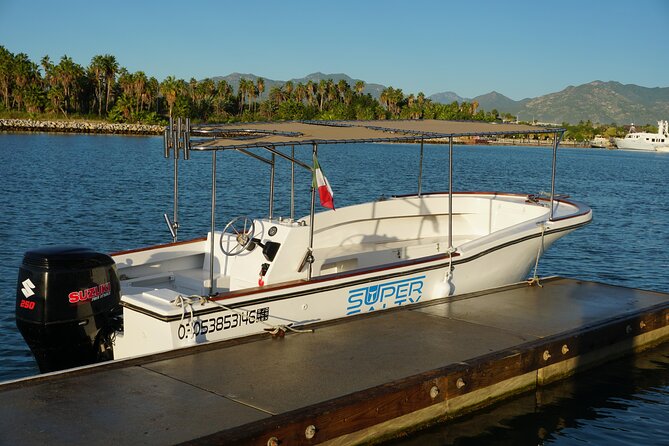 San Jose Del Cabo Small-Group Sunrise Whale Watching - Common Questions