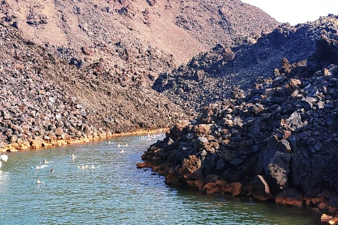 Santorini Volcanic Islands Cruise: Volcano, Hot Springs and Thirassia - Common Questions