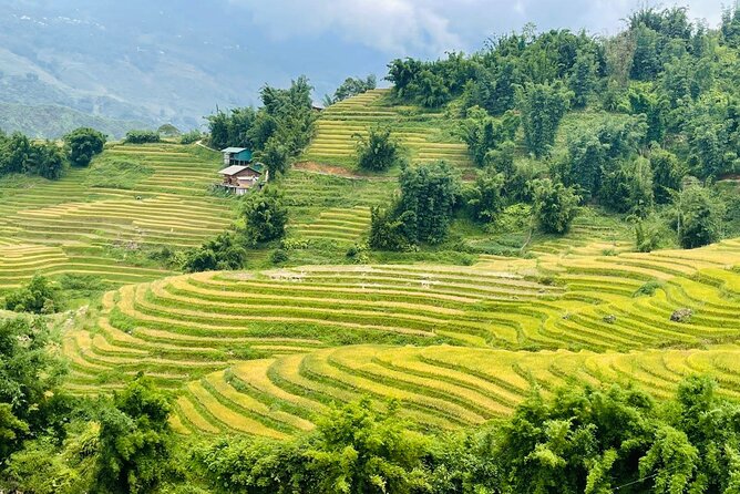 Sapa Motorbike Tour With Local Guide 1 Day - Directions and Itinerary