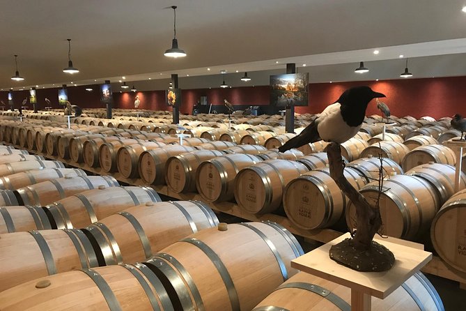 Sauternes Castle and Vineyard Guided Bike Tour  - France - The Sum Up
