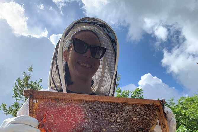 Savannah Small-Group Beekeeping Tour  - Grand Cayman - Small-Group Experience at a Local Apiary