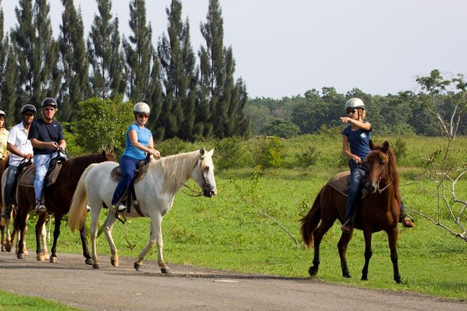 Scenic Horseback Riding Tour From San Juan - Tour Overview
