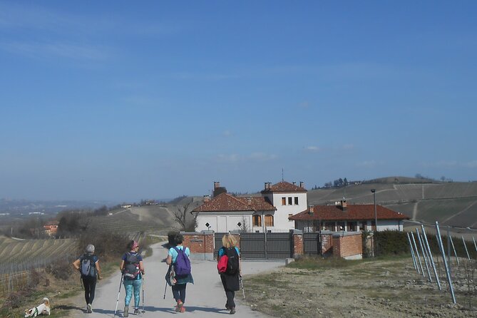 Scenic Langhe Hike and Wine Tasting From Alba  - Langhe-Roero and Monferrato - Common Questions