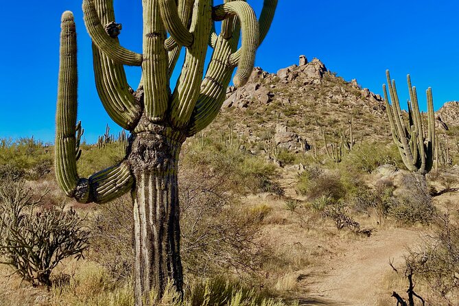 Scottsdale Desert Classic Hiking Adventure - End Point and What To Expect