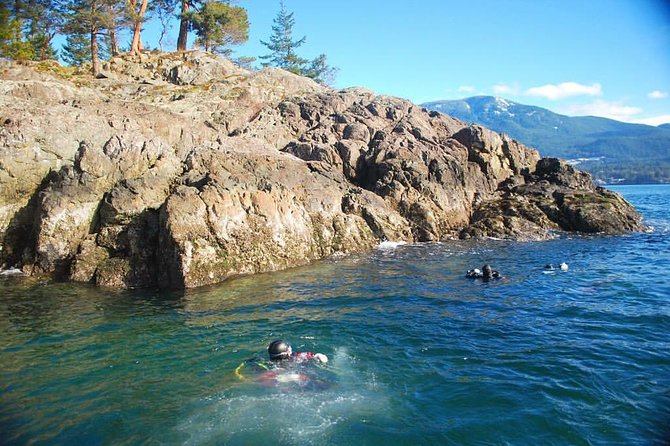 Scuba Dive Boat Charter in Vancouver (Certified Divers Only!) - Cancellation and Refund Policy