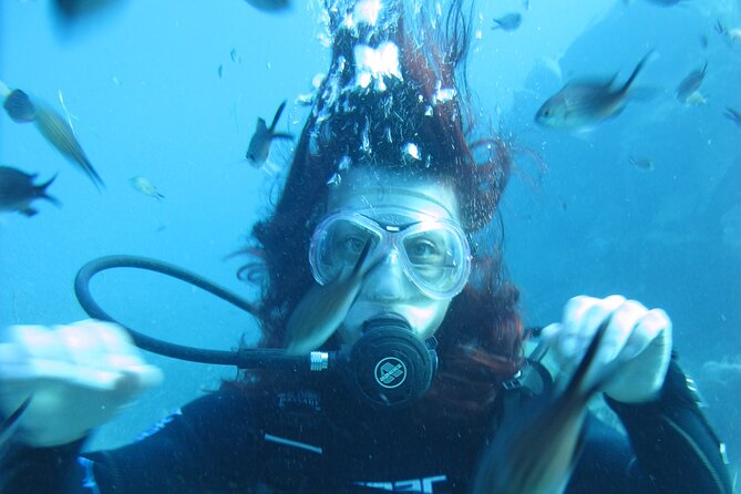 Scuba Diving Adventure in Santorini - Common Questions