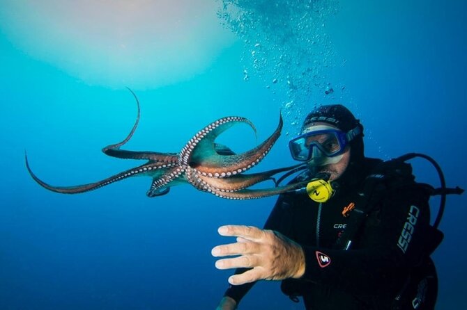 Scuba Diving Experience From Plakias - What to Expect